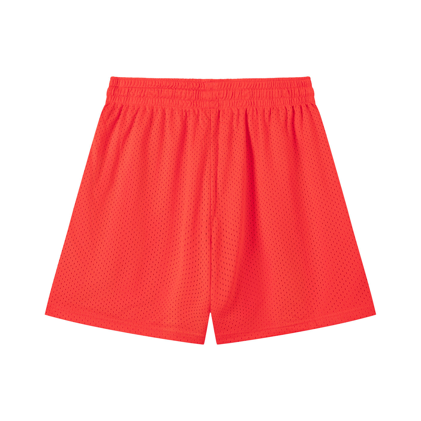 Hood Classic Mesh Shorts