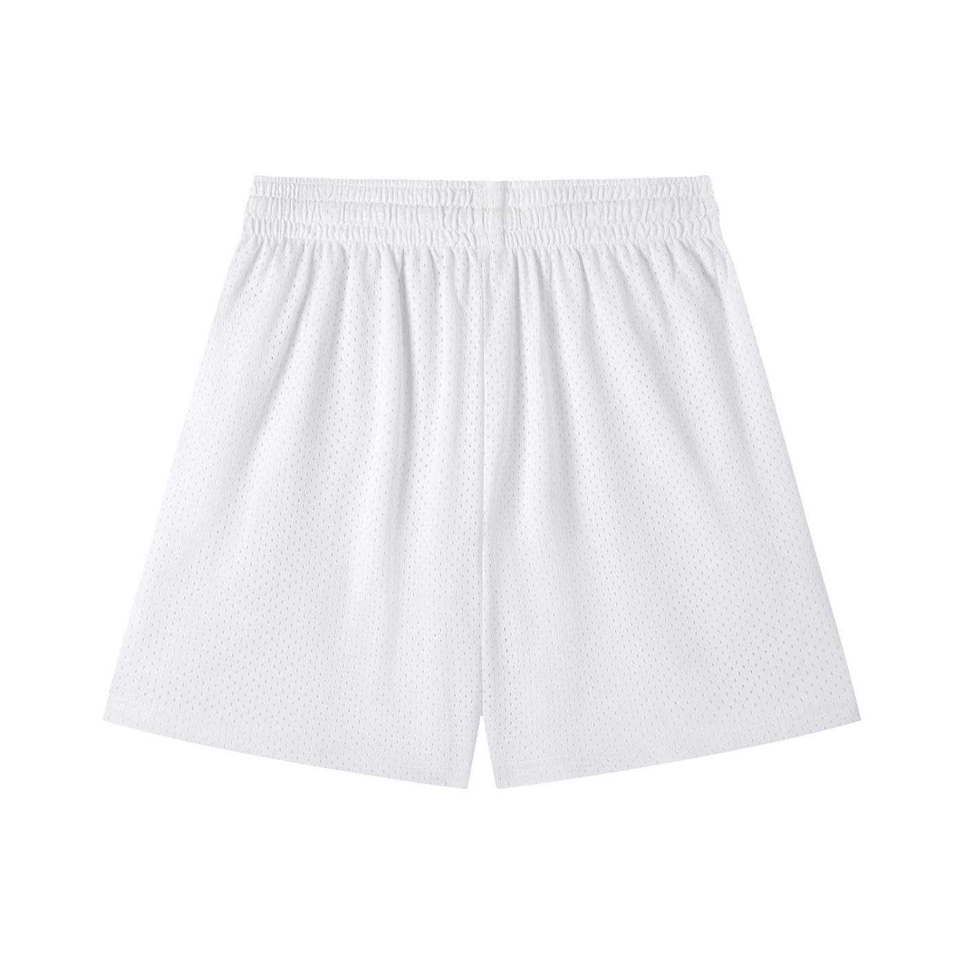 Hood Classic Mesh Shorts