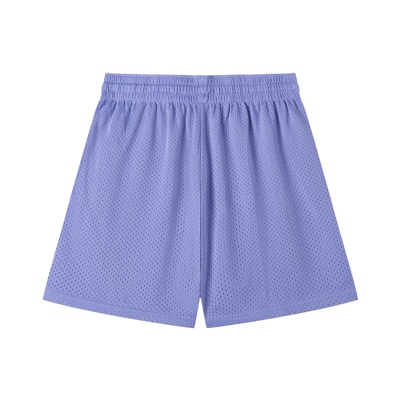 Hood Classic Mesh Shorts