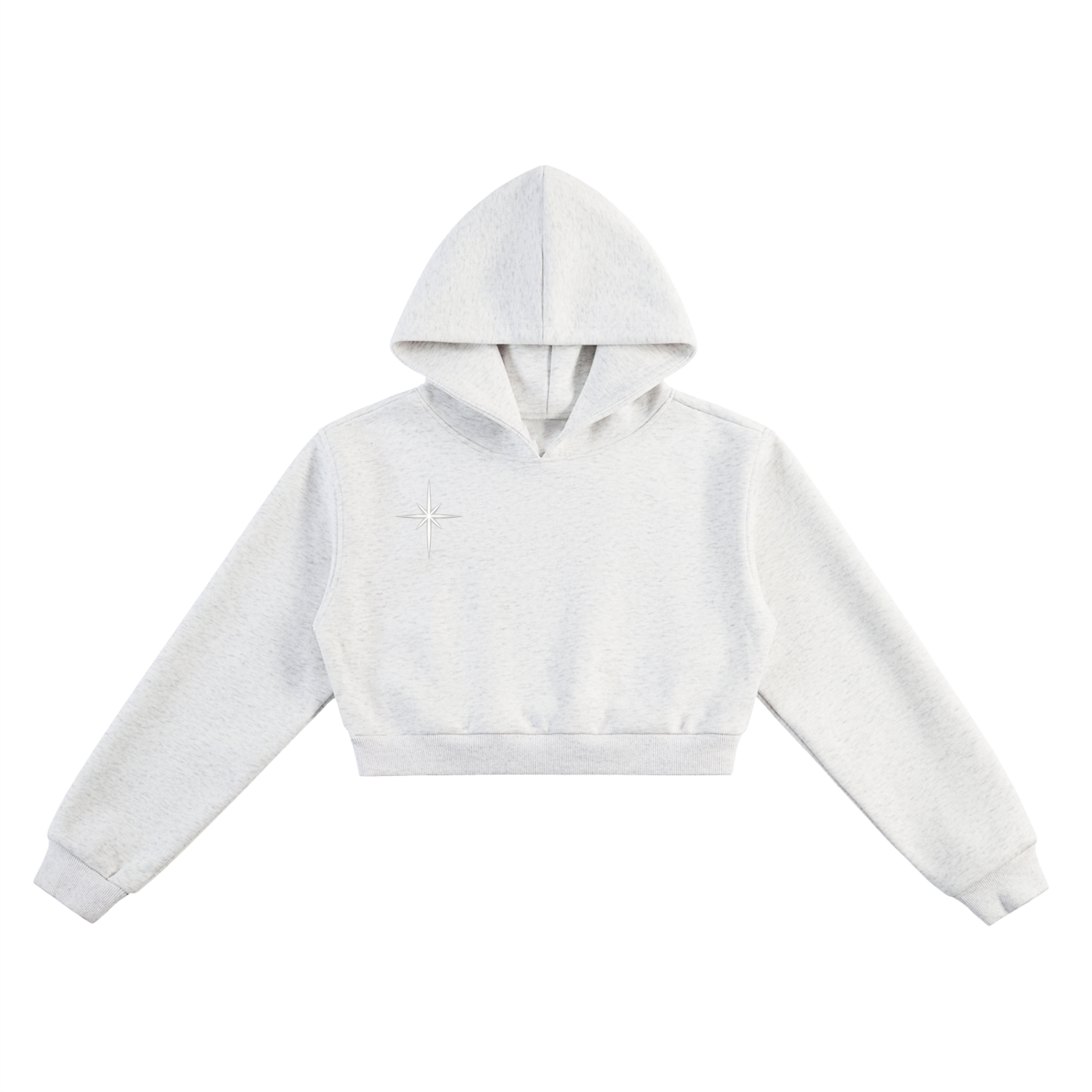 Hood Classic Cropped Hoodie