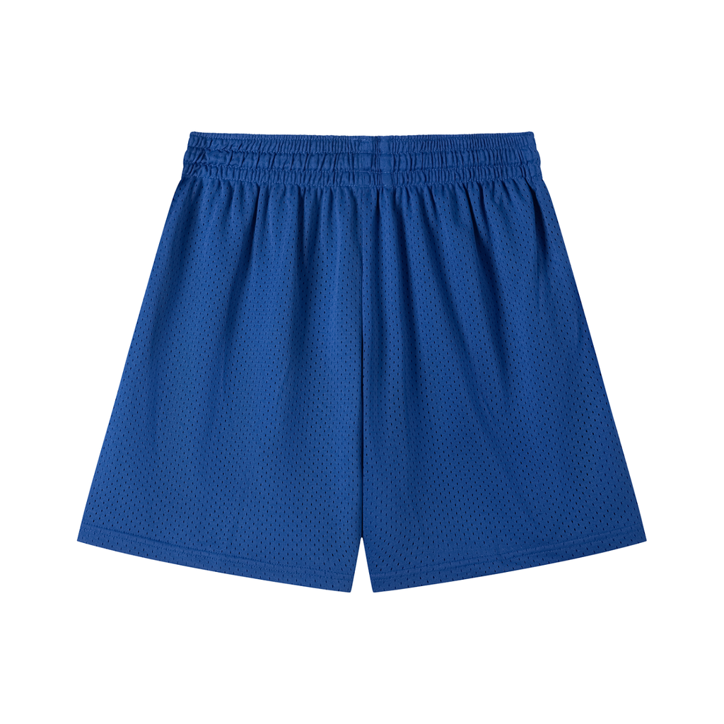 Hood Classic Mesh Shorts